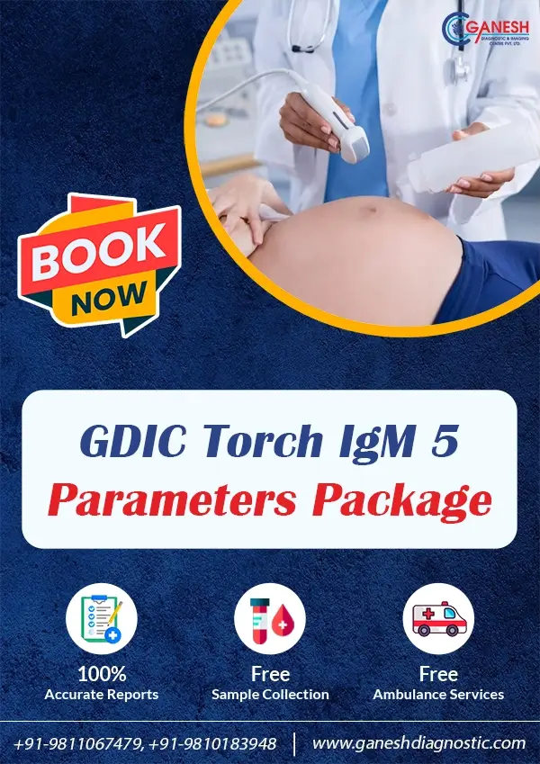 GDIC Torch IgM 5 Parameters Package